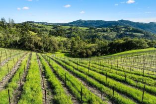 Single Family Residence,  Franz Valley road, Santa Rosa, CA 95404 - 14