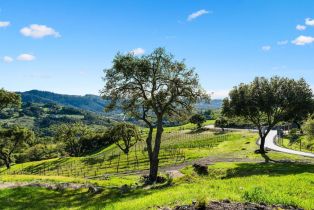 Single Family Residence,  Franz Valley road, Santa Rosa, CA 95404 - 67