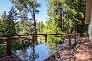 Single Family Residence,  Drake road, Russian River, CA 95446 - 37