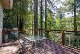 Single Family Residence,  Drake road, Russian River, CA 95446 - 36