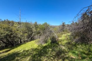 Residential Lot,  St Helena road, Santa Rosa, CA 95404 - 14