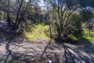 Residential Lot,  St Helena road, Santa Rosa, CA 95404 - 24