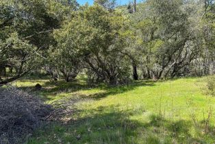 Residential Lot,  St Helena road, Santa Rosa, CA 95404 - 8