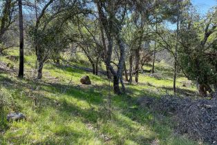 Residential Lot,  St Helena road, Santa Rosa, CA 95404 - 9