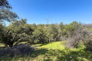Residential Lot,  St Helena road, Santa Rosa, CA 95404 - 15
