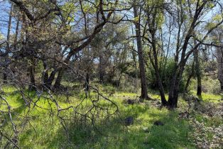 Residential Lot,  St Helena road, Santa Rosa, CA 95404 - 10