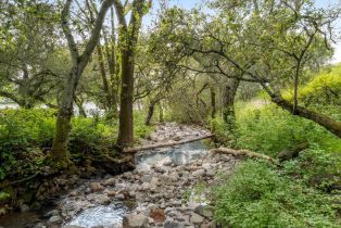 Agriculture,  Wallace road, Santa Rosa, CA 95404 - 82