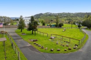 Agriculture,  Wallace road, Santa Rosa, CA 95404 - 53