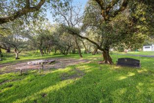 Agriculture,  Wallace road, Santa Rosa, CA 95404 - 74