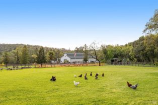 Agriculture,  Wallace road, Santa Rosa, CA 95404 - 49