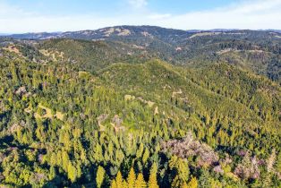 Single Family Residence, Fort Ross road, Russian River, CA 95421 - 14