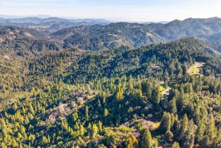 Single Family Residence, Fort Ross road, Russian River, CA 95421 - 18
