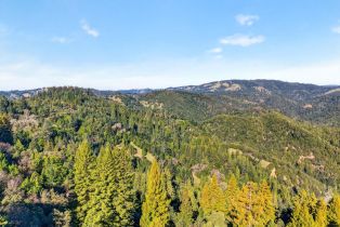 Single Family Residence, Fort Ross road, Russian River, CA 95421 - 22