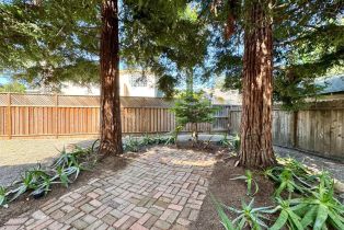 Single Family Residence,  First street, Napa, CA 94558 - 35