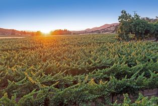 Single Family Residence,  Cristo lane, Santa Rosa, CA 95409 - 79