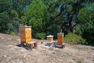 Single Family Residence,  Cristo lane, Santa Rosa, CA 95409 - 76