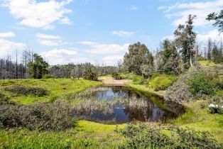 Residential Acreage,  Mill Creek road, Healdsburg, CA 95448 - 15