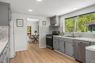 Single Family Residence, Riverside drive, Russian River, CA 95446 - 19