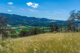 Residential Acreage,  Silverado trail, Calistoga, CA 94515 - 2
