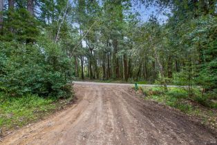Residential Lot,  Timber Cove road, Jenner, CA 95450 - 36