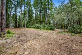 Residential Lot,  Timber Cove road, Jenner, CA 95450 - 39