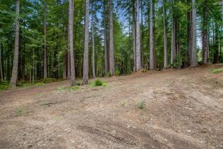 Residential Lot,  Timber Cove road, Jenner, CA 95450 - 25