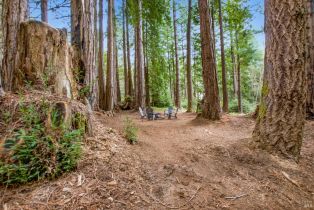 Residential Lot,  Timber Cove road, Jenner, CA 95450 - 17