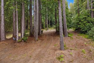 Land, 22039 Timber Cove Rd, Jenner, CA  Jenner, CA 95450