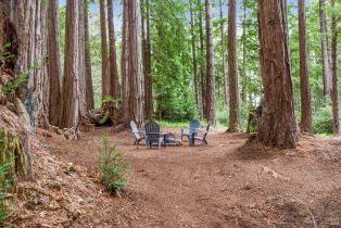 Residential Lot,  Timber Cove road, Jenner, CA 95450 - 18