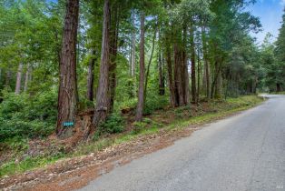 Residential Lot,  Timber Cove road, Jenner, CA 95450 - 28