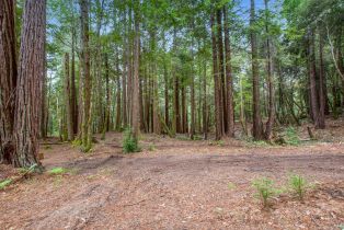 Residential Lot,  Timber Cove road, Jenner, CA 95450 - 19