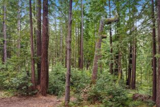 Residential Lot,  Timber Cove road, Jenner, CA 95450 - 14