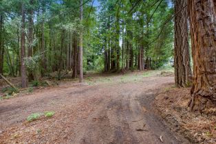 Residential Lot,  Timber Cove road, Jenner, CA 95450 - 20