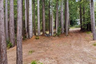 Residential Lot,  Timber Cove road, Jenner, CA 95450 - 8