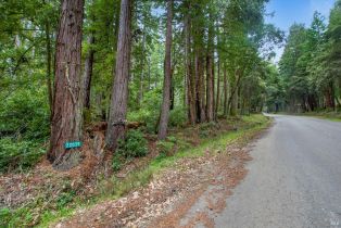 Residential Lot,  Timber Cove road, Jenner, CA 95450 - 27