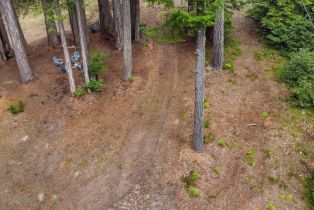 Residential Lot,  Timber Cove road, Jenner, CA 95450 - 2