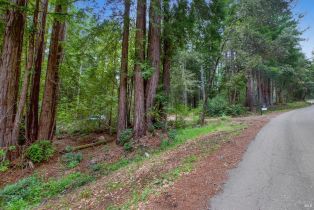 Residential Lot,  Timber Cove road, Jenner, CA 95450 - 32