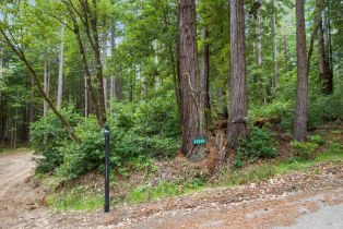 Residential Lot,  Timber Cove road, Jenner, CA 95450 - 30