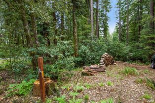 Residential Lot,  Timber Cove road, Jenner, CA 95450 - 26