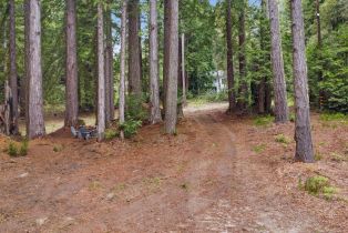 Residential Lot,  Timber Cove road, Jenner, CA 95450 - 12