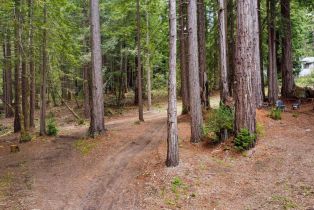 Residential Lot,  Timber Cove road, Jenner, CA 95450 - 13
