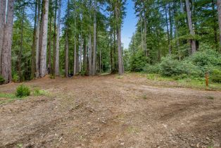 Residential Lot,  Timber Cove road, Jenner, CA 95450 - 24