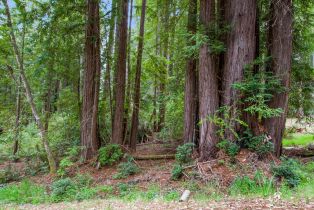Residential Lot,  Timber Cove road, Jenner, CA 95450 - 31