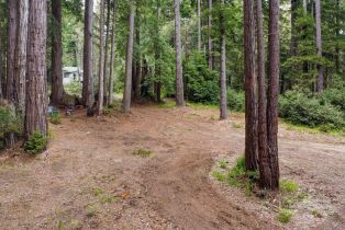 Residential Lot,  Timber Cove road, Jenner, CA 95450 - 15