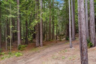 Residential Lot,  Timber Cove road, Jenner, CA 95450 - 9