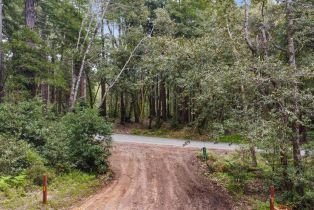 Residential Lot,  Timber Cove road, Jenner, CA 95450 - 10