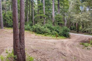 Residential Lot,  Timber Cove road, Jenner, CA 95450 - 16