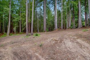 Residential Lot,  Timber Cove road, Jenner, CA 95450 - 37