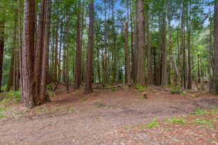 Residential Lot,  Timber Cove road, Jenner, CA 95450 - 21
