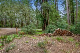 Residential Lot,  Timber Cove road, Jenner, CA 95450 - 38